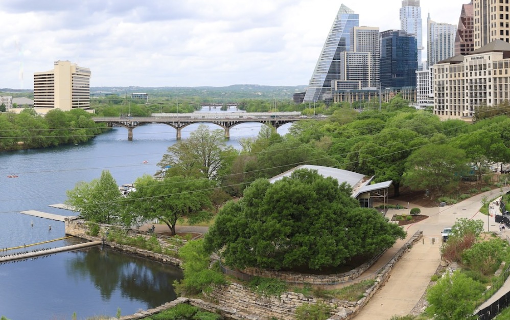an aerial view of a park with trees
