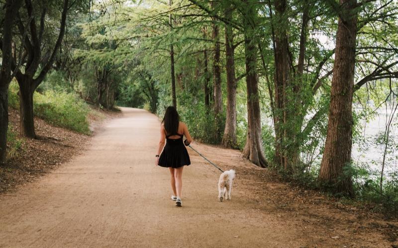 a person walking a dog on a path in a forest